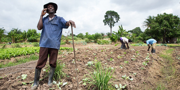 How to get loans for farmers in Nigeria (2022)