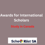 Awards for International Scholars