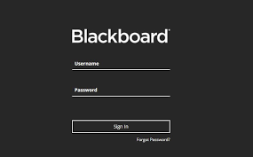 VUT blackboard login
