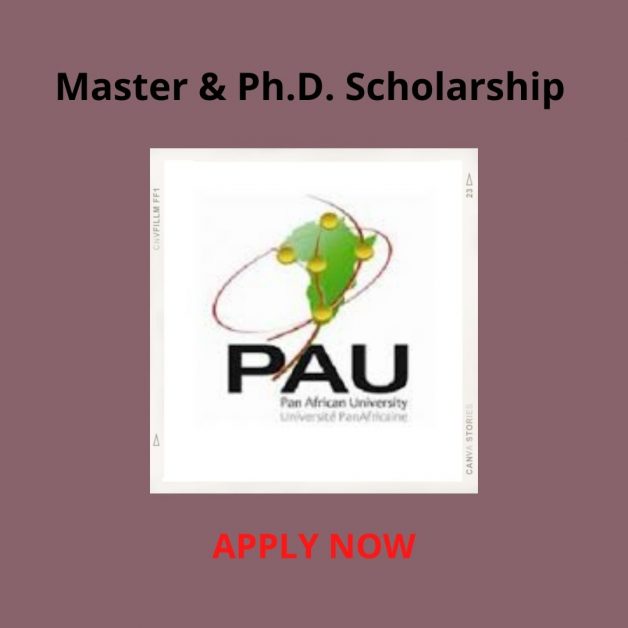 Pan Africa Unversity Scholarship 2021/2021