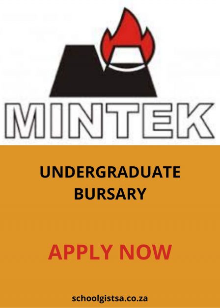 Mintek Undergraduate Bursary
