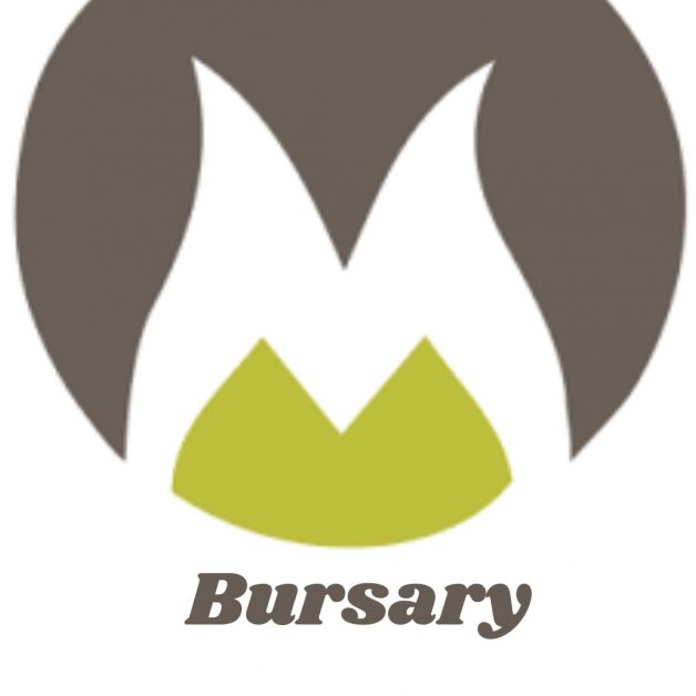Mulilo Bursary