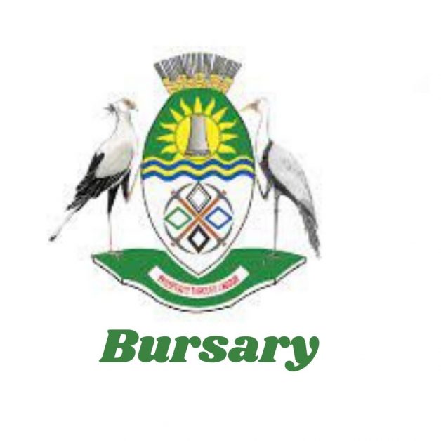 Nkangala District municipality Bursary