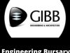 GIBB Bursary South Africa