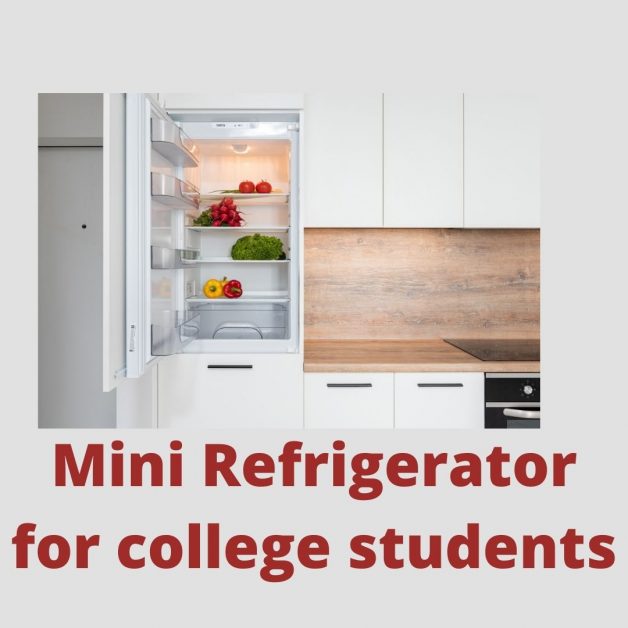 Mini Dorm Refrigerator for College Students