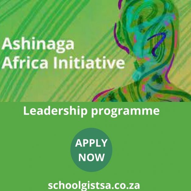 Ashinaga Africa Initiative Leadership programme