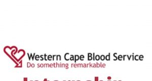 Western Cape Blood Service Software Developer Internship
