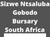 sizwentsalubagobodo bursary south africa
