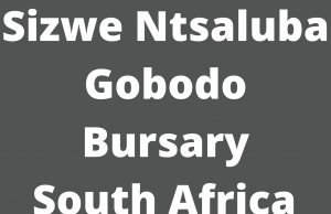 sizwentsalubagobodo bursary south africa