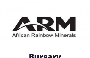 African Rainbow Minerals Bursary