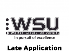 wsu late application