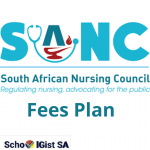 South African Nursing Council, SANC fees structure