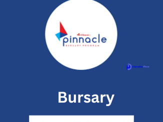 Clover Pinnacle Bursary